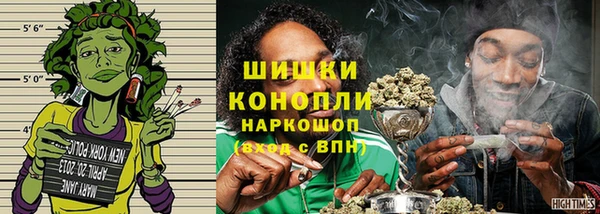 бошки Пересвет