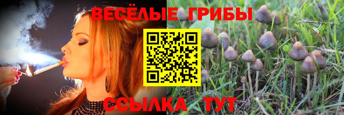 Псилоцибиновые грибы Magic Shrooms  Вход с VPN  Вольск  Галлюциногенные грибы ЛСД 