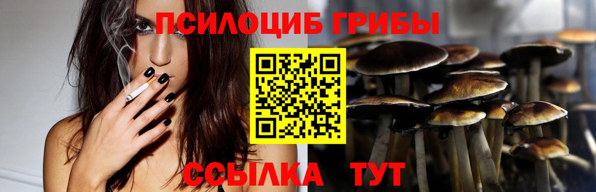 Псилоцибиновые грибы Magic Shrooms  Вольск 